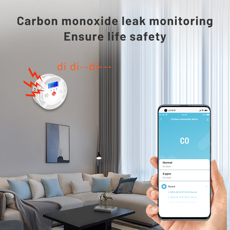Tuya WiFi Smart Carbon Monoxid – Co Detector Plug Bewertung und Preis